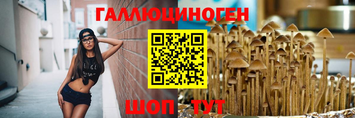Псилоцибиновые грибы Psilocybine cubensis  Вход с VPN  Майский 